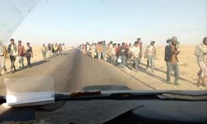 موجة جديدة من المهاجرين تصل سواحل شبوة