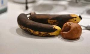 الأطعمة المتعفنة قد تسبب سرطان الكبد