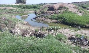 كارثة مروعة.. ري مزارع الخضروات بمياه الصرف الصحي في إب