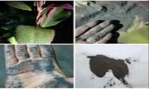 قات ملوّث بالبراكين.. خطر يهدد المستهلكين

