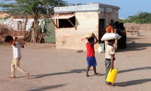 الغذاء العالمي: تدهور إضافي في أزمة الغذاء باليمن خلال أكتوبر الماضي