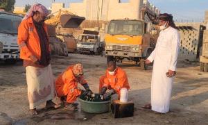 حملة ميدانية شاملة لمكافحة الكلاب الضالة في الغيضة

