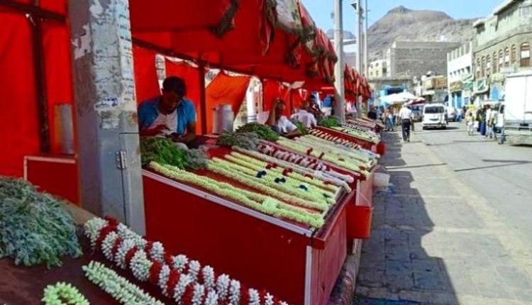 أفراح وأرزاق.. «فُل لحج» محصول يُعيل آلاف العائلات اليمنية