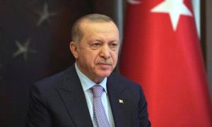 أردوغان للمستشار الألماني: ألا ترى أن إسر.ائيل تمارس إبـ.ـادة جماعية في غـ.ـزة؟