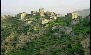 مخلوق غامض يثير ذعر السكان في هذه المحافظة "صورة"