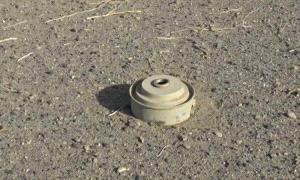 إصابة طفل بانف،،جار لغم حوثي في محافظة حجة