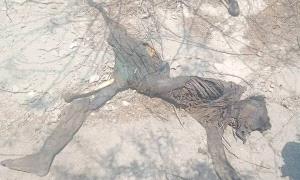 العثور على جثـ.ـة متحللة في وادي أحور