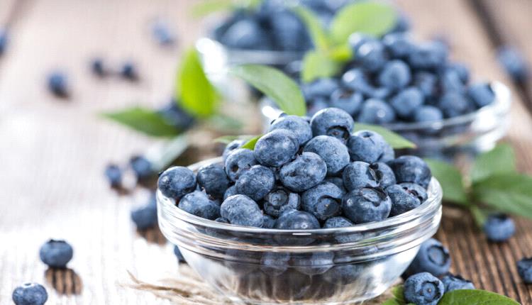التوت الأزرق يدعم توازن السكر ويعيد تشكيل بكتيريا الأمعاء