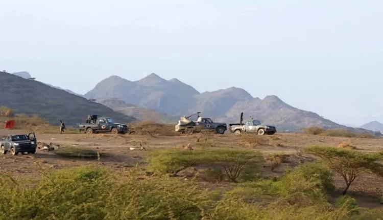 تعز.. حملة أمنية في الوازعية تضبط أسلـ.ـحة وألـ.ـغاماً وتفكك خلية مسـ.ـلحة