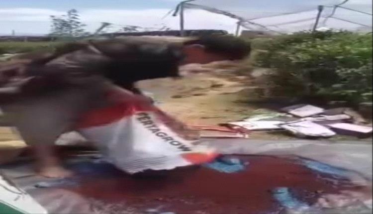 مبيدات قـ.ـاتلة في القـ.ـات.. تحذيرات من سموم مجهولة تهدد صحة متعاطيه