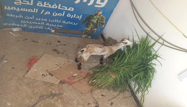 لحج.. الأجهزة الأمنية في المسيمير تطيح بعصابة تمتهن السرقة