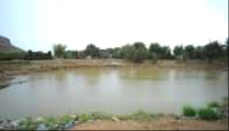 مأساة في صعدة: غرق ثلاثة أطفال في بركة مياه الأمطار

