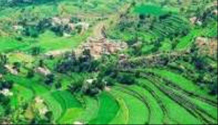 نزاع على أرض يودي بحياة شاب ويصيب شقيقه في إب

