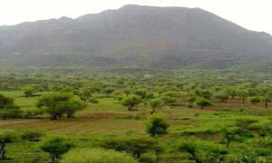 أبناء المشاولة والمعافر بتعز يناشدون النائب العام إحالة متهم بقضايا إرهـ.ـاب إلى المحكمة الجزائية المتخصصة