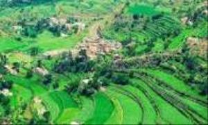 نزاع على أرض يودي بحياة شاب ويصيب شقيقه في إب

