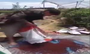 مبيدات قـ.ـاتلة في القـ.ـات.. تحذيرات من سموم مجهولة تهدد صحة متعاطيه