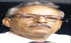 السباحة في بركة المعطفين