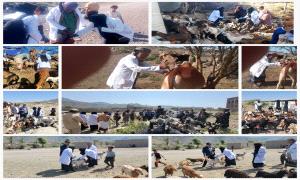 الشاعري وأبو هدال يدشنان حملة تطعيم الحيوانات في عزل وقرى مديرية قعطبة، لحماية الثروة الحيوانية