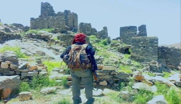بيوتٌ صغيرة… وحياةٌ كبيرة
