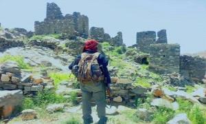 بيوتٌ صغيرة… وحياةٌ كبيرة
