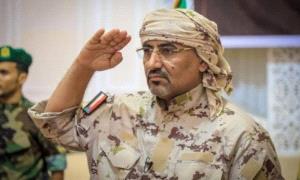 الأسد يرصد .. والنعاج تنوح