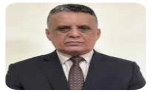 النسي: العليمي يحكم منفرداً بدعم سعودي.. والصراع داخل مجلس القيادة على المصالح والامتيازات