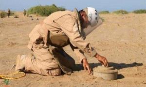 «مسام» ينتزع أكثر من 1,800 لغم وذخيرة حو.ثية في اليمن خلال أسبوع