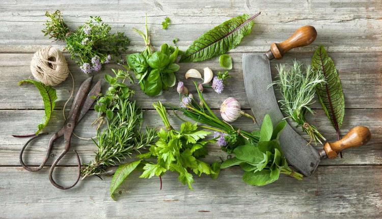 6 أعشاب قد تساعد على خفض الكوليسترول الضار طبيعياً