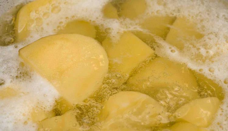 7 أطعمة تحتوي على 