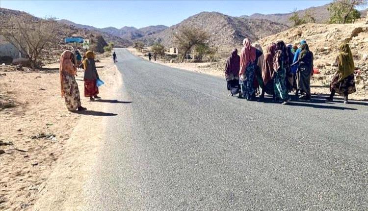 دخول 1500 مهاجر غير نظامي من القرن الأفريقي إلى بلادنا