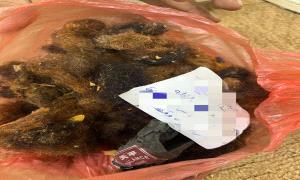 شرطة شبوة توضح للرأي العام بشأن قضية السحرة والمشعوذين