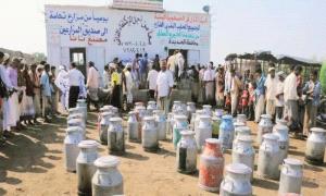 من الإنتاج إلى الذبـ.ـح.. قرار حو.ثي يدمر مشروع الألبان في تهامة