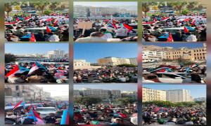 الاحتلال اليمني يفشل المملكة جنوبا ويدول قضية شعب الجنوب العربي