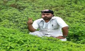 تفاصيل مقتل' شاب بطريقة مأساوية في المهرة