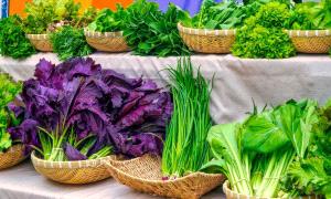 هذه الخضراوات الورقية قد تكون الحل الطبيعي لضغط الـ.ـدم
