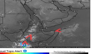 تحسن مرتقب للأمطار في اليمن وتوسع رقعتها خلال الأيام القادمة

