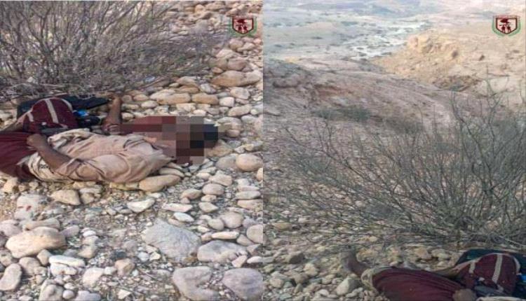 القوات الحكومية الجنوبية تقضي على عنصر إرهـ.ـابي بعد تفـ.ـجير عبوة ناسفـ.تة في شبوة