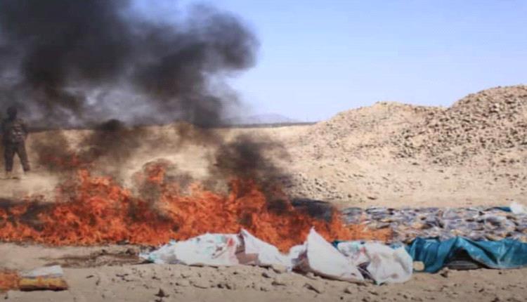 إتلاف 327 كيلوجرامًا من الحشيش في مأرب

