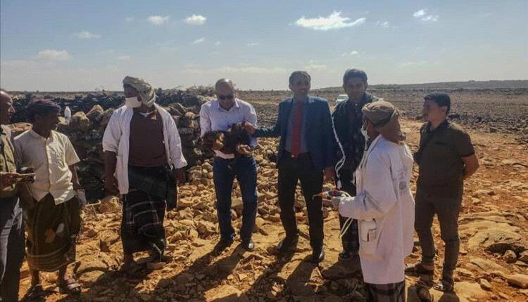 وفد الزراعة يتفقد أوضاع القطاع الزراعي في سقطرى

