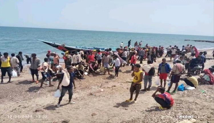 شبوة: وصول دفعة جديدة من المهاجرين الأفارقة 
