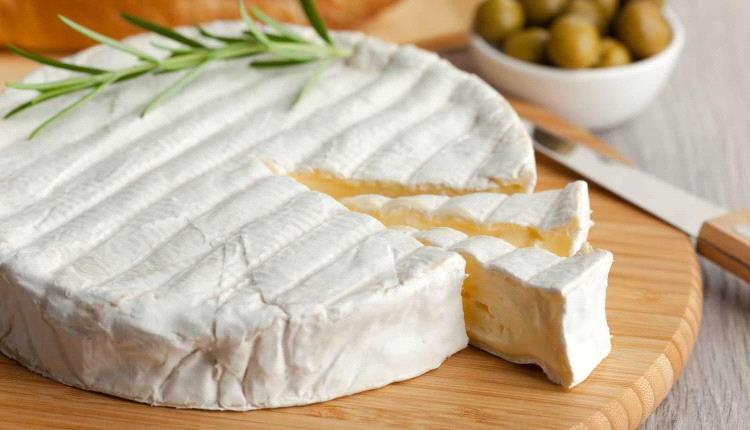 هل الجبن عالي الدسم مفيد فعلا للدماغ؟