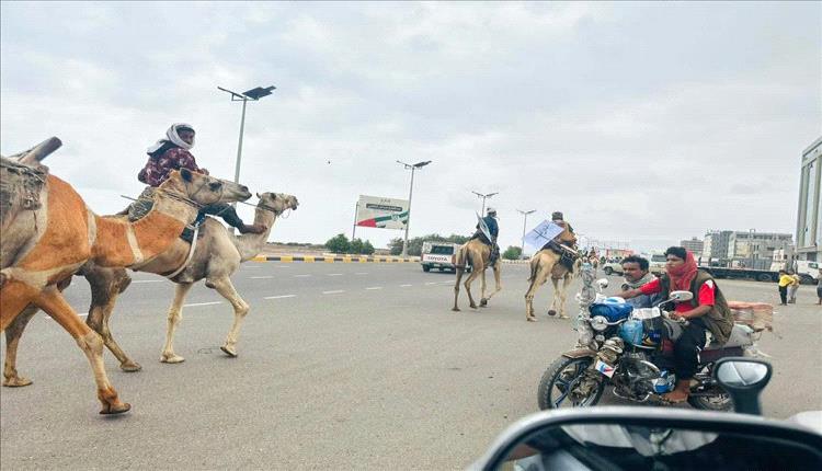 قوافل رمزية في عدن تضامناً مع الشيخ حمدي شكري