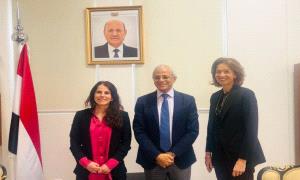 نائب وزير الخارجية يبحث مع المبعوثة النرويجية مستجدات الأوضاع في اليمن

