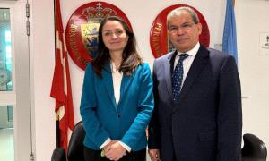 السعدي يستعرض مستجدات اليمن مع مندوبتي الدنمارك واليونان بالأمم المتحدة
