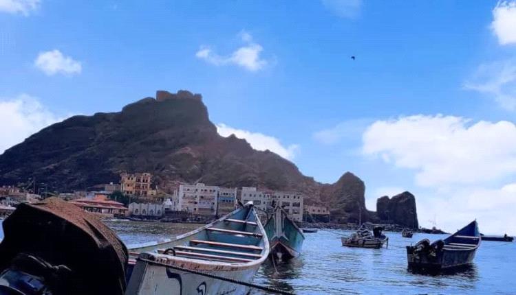 أسماك عدن.. وفرة في البحر وغلاء يثقل جيوب المواطنين