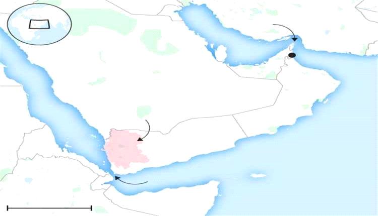 صحيفة بريطانية تكشف خطة إيـ.ـرانية لتعزيز السيطرة على باب المندب
