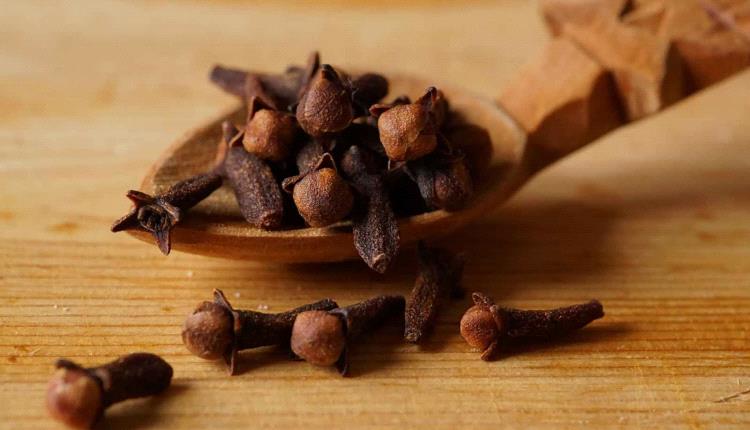 ليس مجرد توابل.. كيف يؤثر القرنفل في صحة الأعصاب؟
