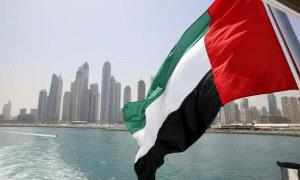 دولة الإمارات قلعة العرب الحصينة