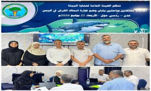 " الأدارة العامة للتنوع الحيوي تعقد اجتماعاً خاصاً للمحافظة على أسماك القرش وتقر عدد من التوصيات " 