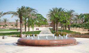 الجامعة الأمريكية بالقاهرة تطلق الإصدار الرابع من تقرير الاستدامة وتعلن أول سياسة للاستدامة البيئية
